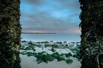 View through wooden poles covered with seaweed and barnacles at low tide  with passing cloudy sky at twilight