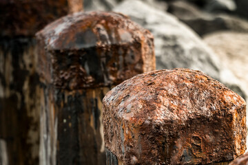 Rusted iron post heads of sea jetty above thick wooden beams