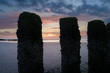 Wooden breakwater pile heads at sunset along the coast