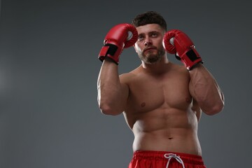 Man in boxing gloves on grey background, low angle view. Space for text