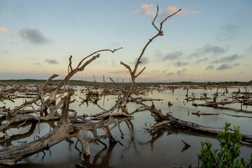 Yucatan Twilight Spectacle: Sunset Splendor over Mangrove Marsh on a Perfect Cloudless Day