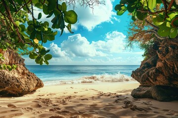 Secluded beach scene framed by foliage - Inviting image of a peaceful beach and ocean framed by the natural green archway of surrounding trees and foliage