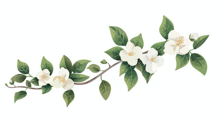 Floral branch with white flowers and leaves cartoon