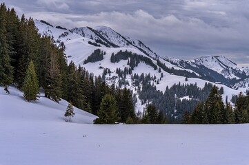 Fototapeta na wymiar Winter landscape of Swiss village in Switzerland. Snowcapped mountain and forest.