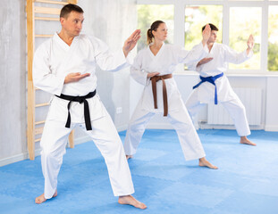 Fototapeta na wymiar In gym, certified master coach conducts karate kata lesson with students and shows sequence of actions when conducting close fight