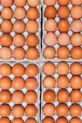 brown eggs Paper trays containers paper. many