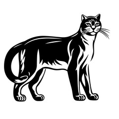 cat black and white vector illustration isolated transparent background, logo, cut out or cutout t-shirt print design,  poster, products or packaging design.