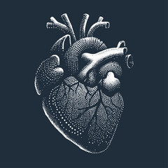 Heart. Vintage woodcut engraving stipple style vector illustration. - obrazy, fototapety, plakaty