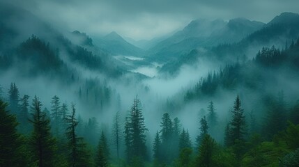  a foggy forest filled with lots of trees and a forest filled with lots of tall, green trees and lots of tall, green, leafy, evergreen trees. - obrazy, fototapety, plakaty