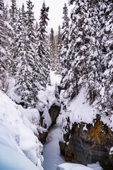 Fototapeta na wymiar Maligne Canyon, Canada - Dec. 25 2021: Creek frozen in Maligne Canyon surounded by forest