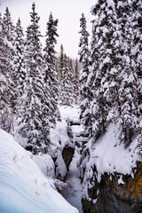 Fototapeta na wymiar Maligne Canyon, Canada - Dec. 25 2021: Creek frozen in Maligne Canyon surounded by forest