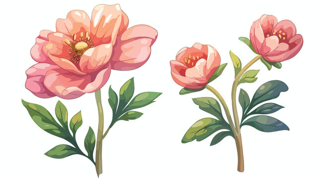 Flower blooming cartoon isolated illustration isolat