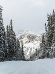 Yoho National Park, Canada - Dec. 23 2021: Frozen Emerald Lake hiding in winter forest surounded by rockies mountains in Yoho National Park