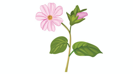 Flower on the stem with leaf flat isolated illustrat