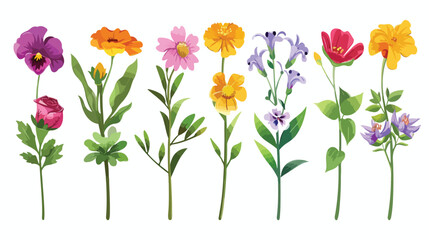 Flower set on stem cartoon isolated illustrations is