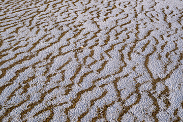 砂浜に雪が降り波が現れる