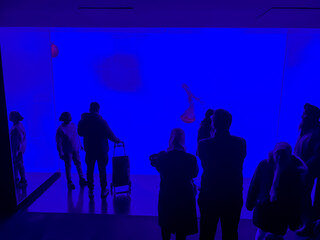 Silhouette of a group of people in front of a blue background of aquarium.