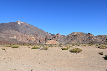 Landscape in the Desert Photography