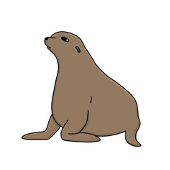Hand drawn vector fur seal illustration. Cartoon outline isolated animal of Antarctica on the white background