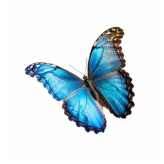 Obraz premium Beautiful blue butterfly close-up portrait, white background