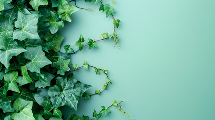 ivy climbing plant on decent pastel green background - the background offers lots of space for text - obrazy, fototapety, plakaty