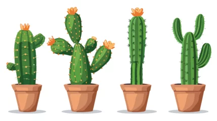 Papier Peint photo Cactus en pot Isolated cactus plant vector design isolated on whit