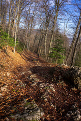 Ojc&oacute;w park koło Krakowa, Polska, 03.03.2024 - Parka w porannych promieniach wiosennego słońca. 