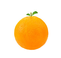 Orange  solated on  transparent png