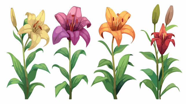 Lily flower cartoon set isolated illustration isolat