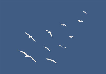 Flying birds outline vector illustration on blue background. Birds migration concept 