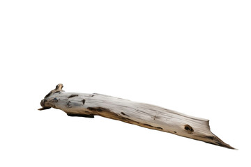 A high quality stock photograph of a single driftwood isolated on a white background - obrazy, fototapety, plakaty
