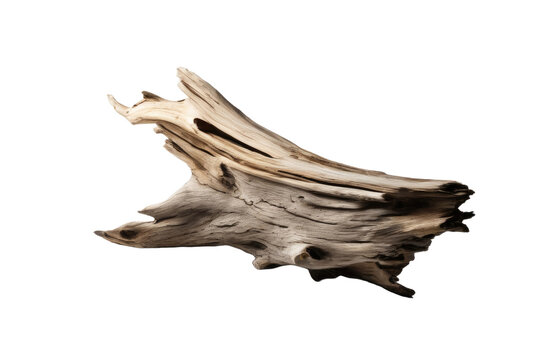 A high quality stock photograph of a single driftwood isolated on a white background