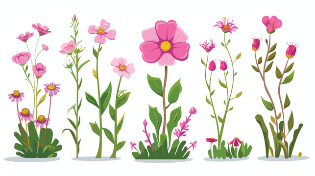 Pink flower blooming set of garden cartoon plant iso