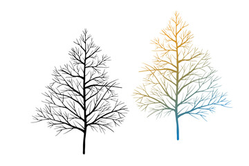 Leafless winter trees. Hand drawn sketch. Line art. Black and white and colorful design elements on white background. Isolated. Tattoo image.