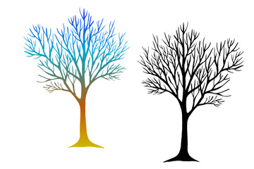 Leafless winter trees. Hand drawn sketch. Line art. Black and white and colorful design elements on white background. Isolated. Tattoo image. - 750226187