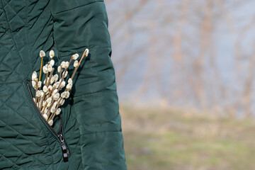 Spring composition with blooming willow twigs.Concept of the beginning of spring,spring awakening...