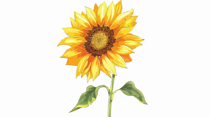 Sunflower on stem cartoon isolated illustration isol