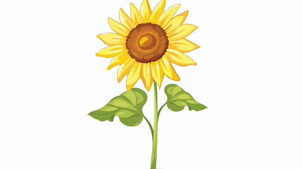 Sunflower on stem cartoon isolated illustration isol
