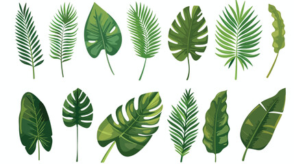 Fototapeta na wymiar Tropical leafs palms natural icons vector illustrati