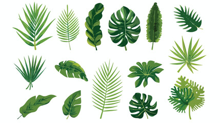 Tropical leafs palms natural icons vector illustrati