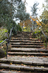 Stone steps with metal railings in forest park landscape