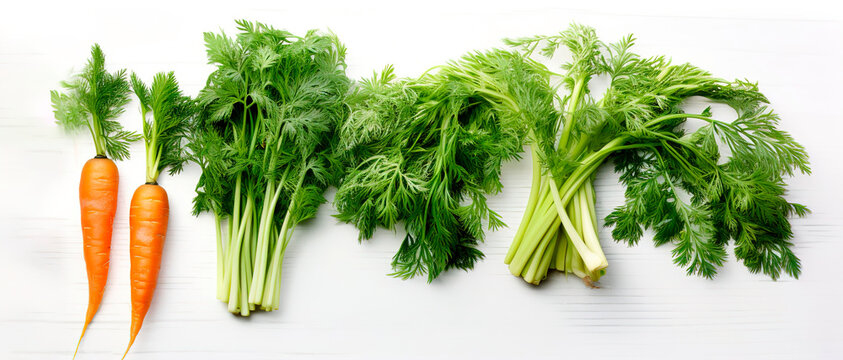Banner vegetables on white wooden background carrot, dill, parsley, broccoli, radish, cabbage, beet vegetarian diet fitness healthi meal calad ingredients smoothie coocing