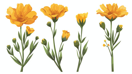 Yellow flower on stem floral set cartoon isolated il - obrazy, fototapety, plakaty