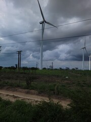 wind turbines in the field