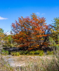 Obraz premium Beautiful autumn scenery at Garner State Park.