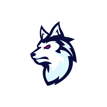 Wolf Sports Logo Design Templates