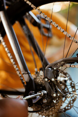 Close up of person using expert work tools to adjust and secure bike pedals and chain ring. Detailed shot of black female arm fixing bicycle component with allen key for yearly maintenance.