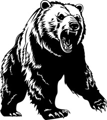 Handdrawn big bear drawing 