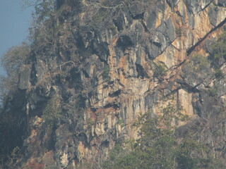 Chiang Dao national park