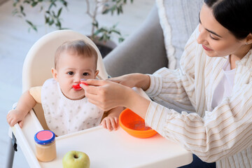 Mother feeding her little baby with puree at home